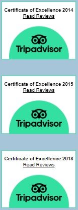 TripAdvisor